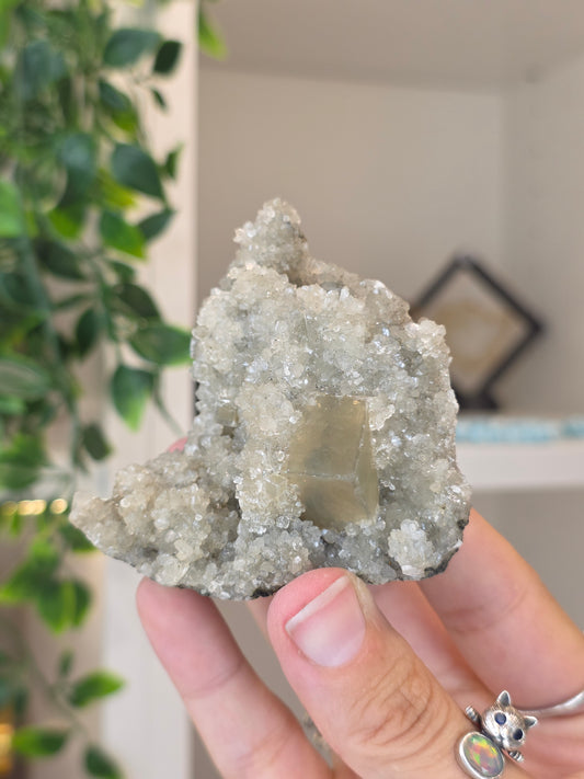 Honey Calcite Cubes on Druzy Sugar Calcite and Stilbite Matrix from Madhya Pradesh, India - L