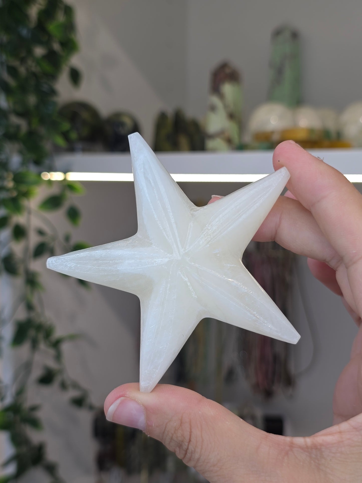 Small Mexican Onyx Starfish - White Calcite - B