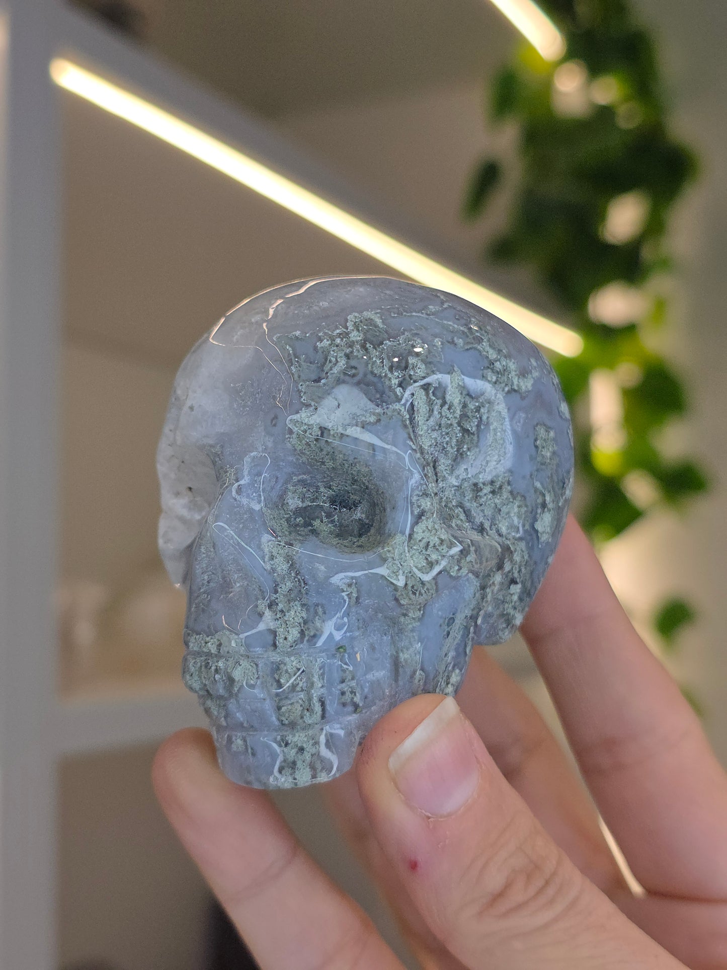 Moss Agate Skull A