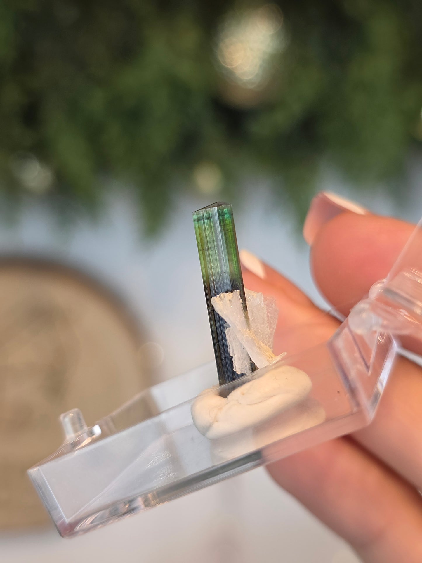 Elongated Prysmatic Green Tourmaline in Albite from Pakistan - MAS6087