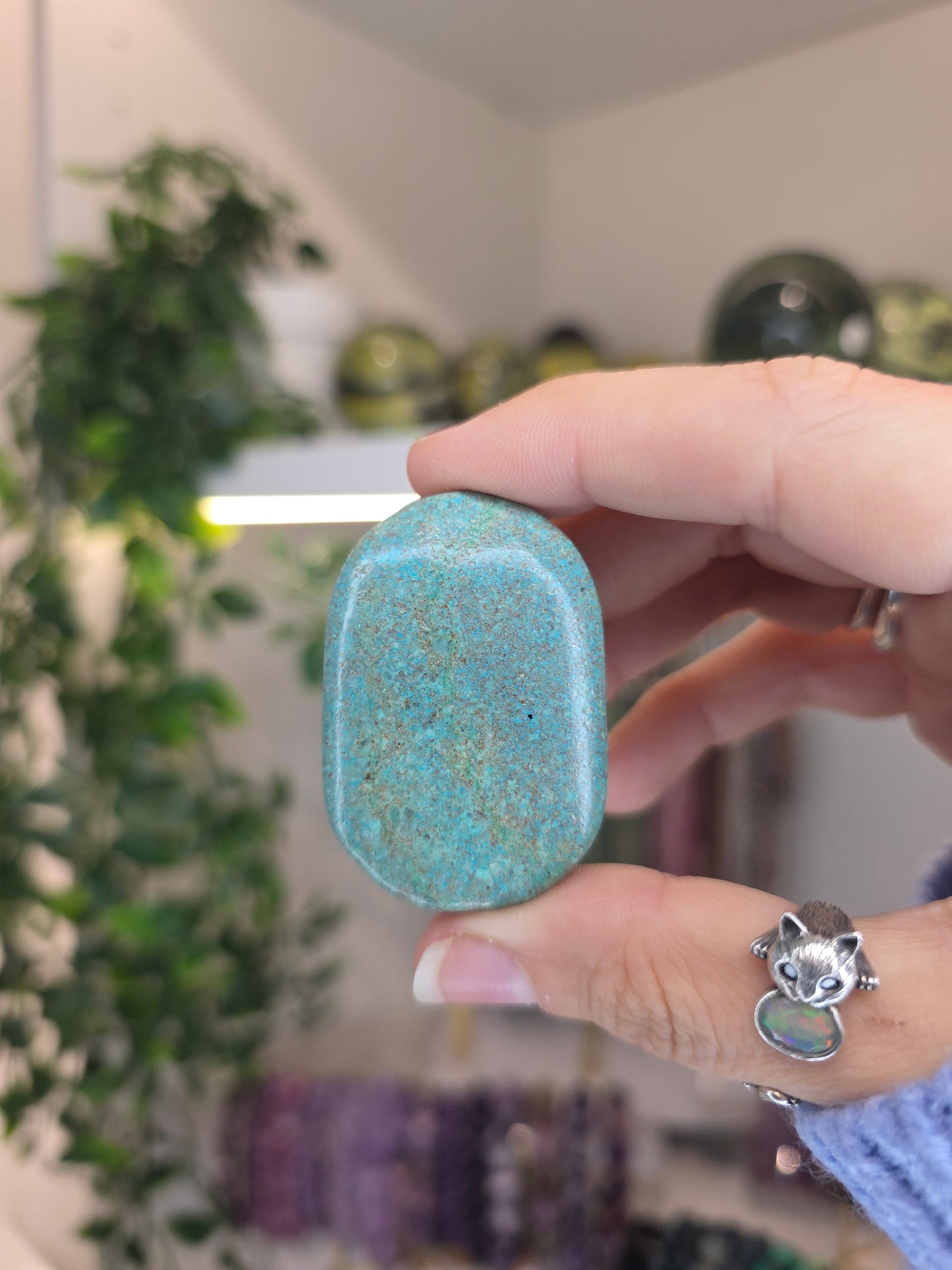 Shattuckite Palms