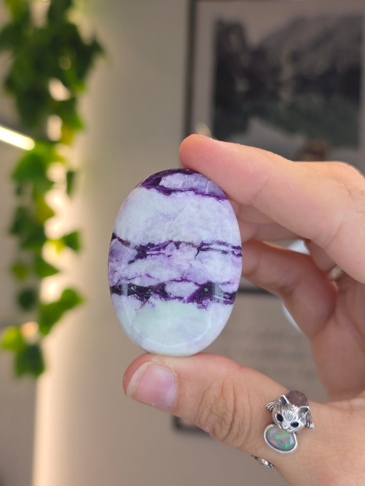Purple Green Kammererite Palm Stones