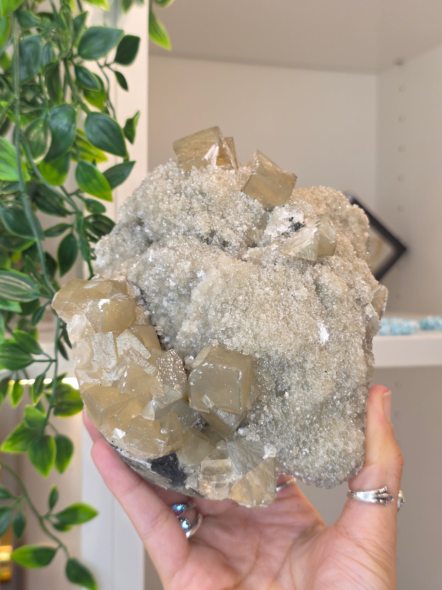 Honey Calcite Cubes on Druzy Sugar Calcite and Stilbite Matrix from Madhya Pradesh, India - AK