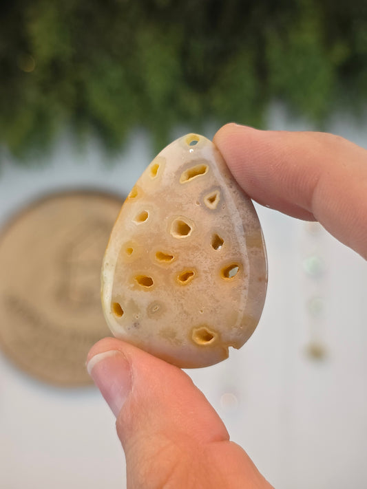 Fossilised Coral Cabachon