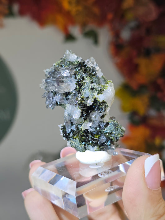Epidote with Quartz from Sichuan, China - MAS2658
