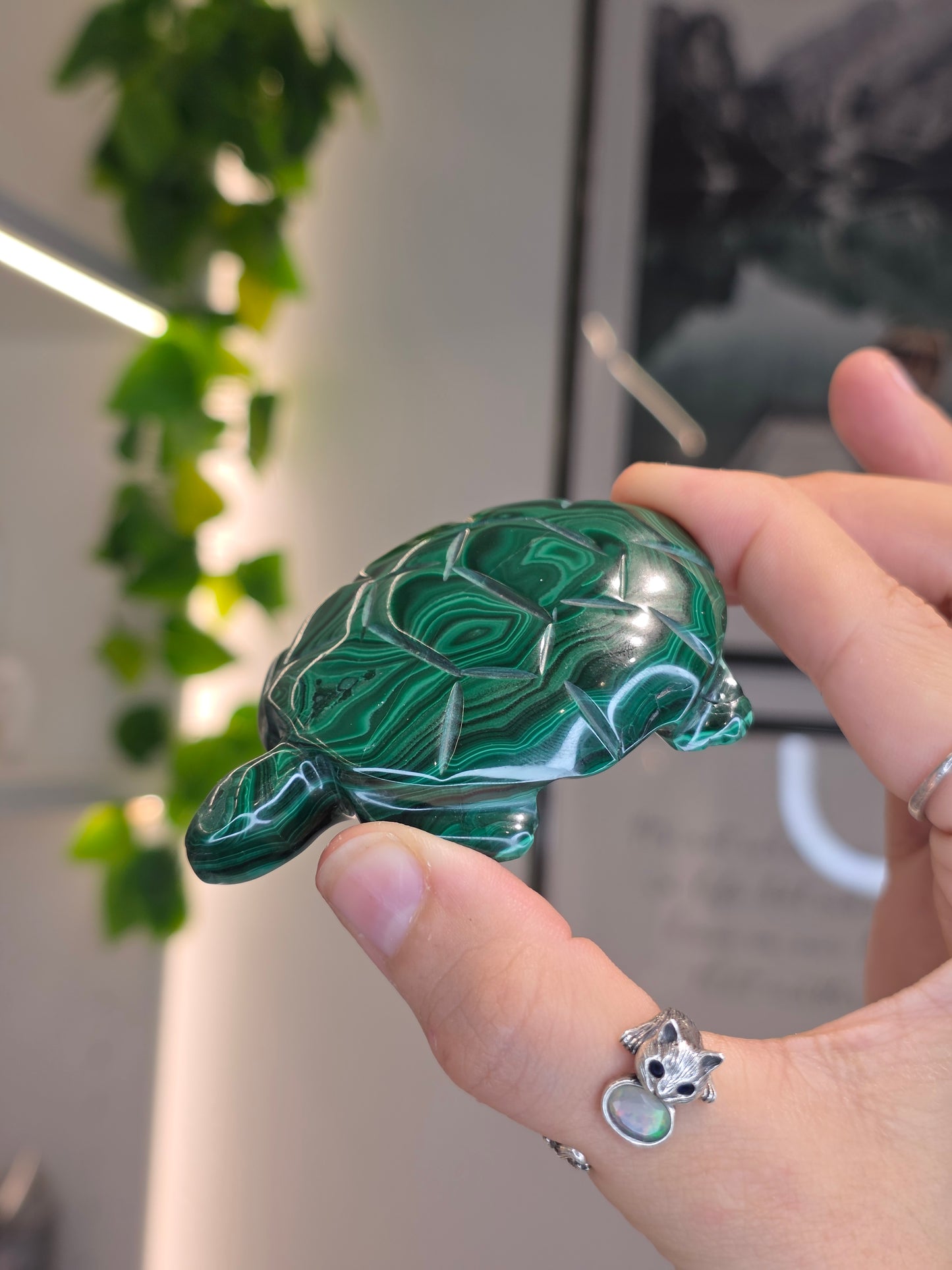 Malachite Turtle Carving - I