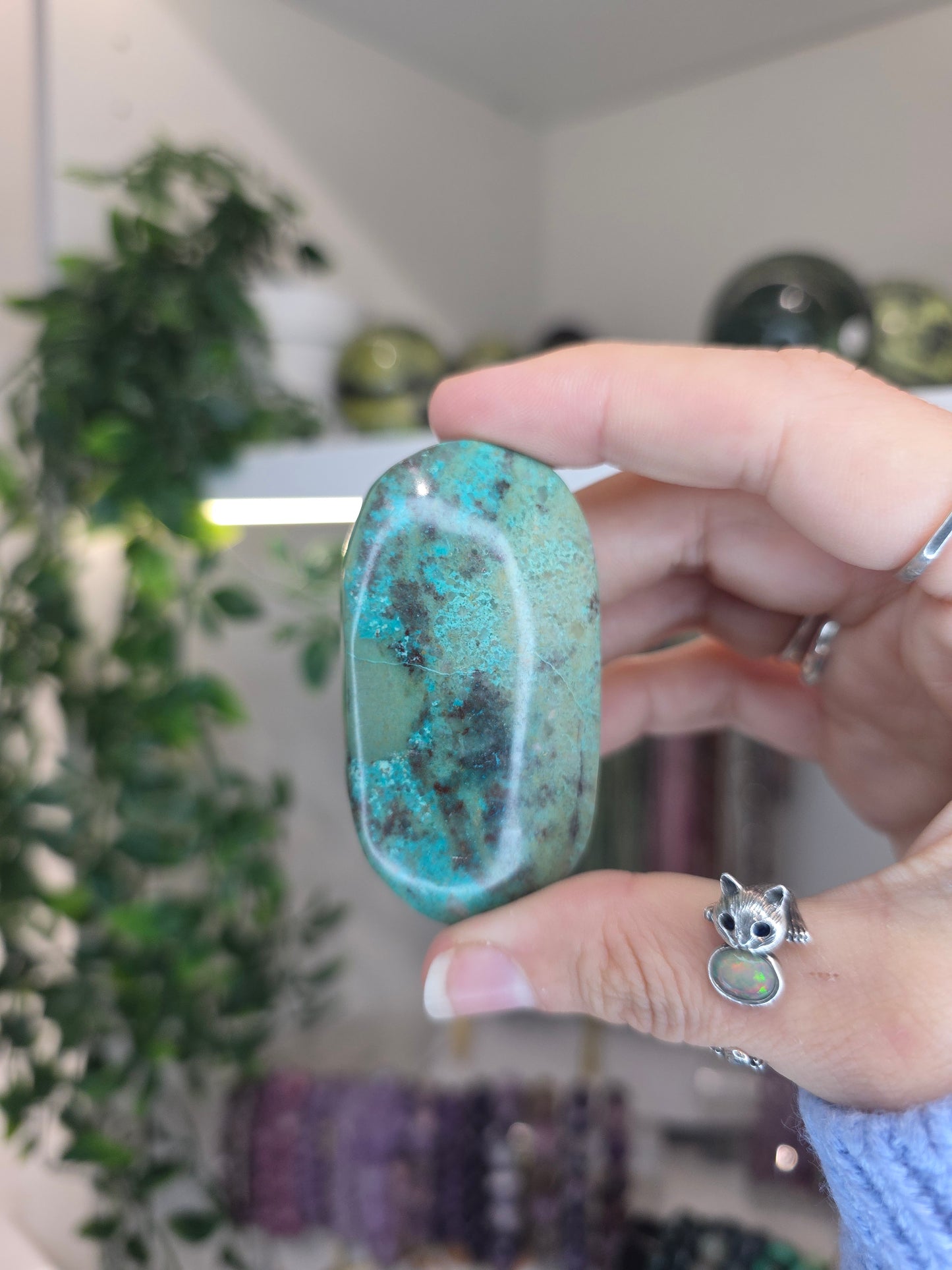 Shattuckite Palms