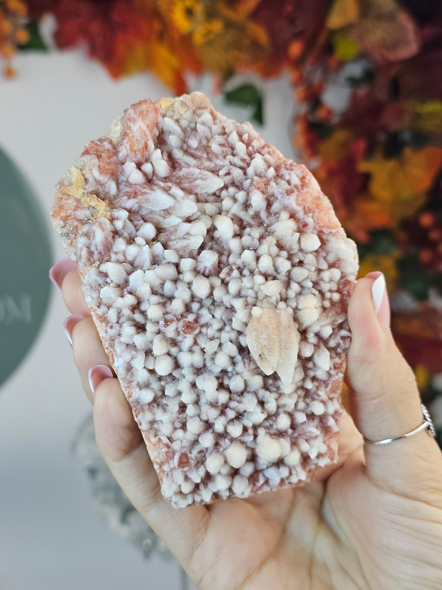 Pink Wolf Tooth Calcite B from Guizhou Province, China - MAS2423