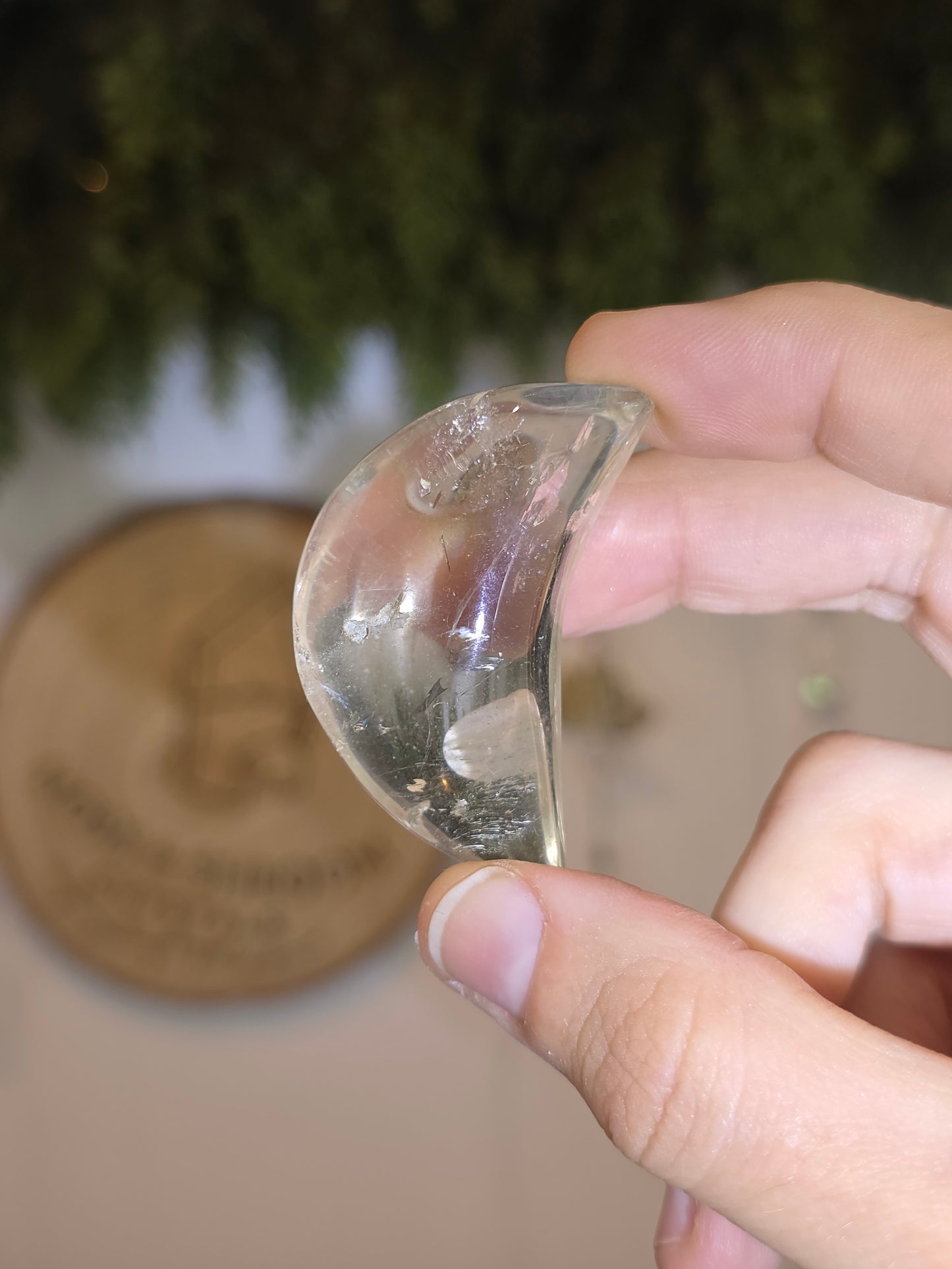 Brazilian Citrine Moons