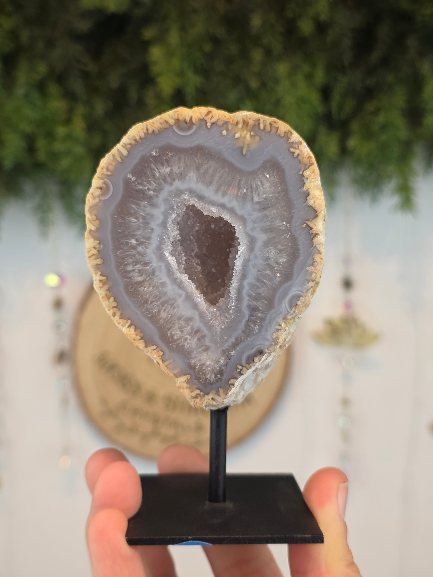 Brazilian Druzy Agate Geode in Stand