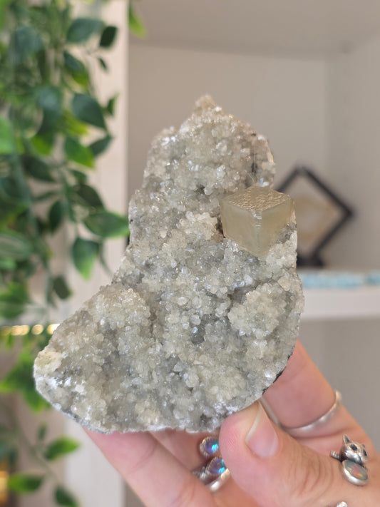Honey Calcite Cubes on Druzy Sugar Calcite and Stilbite Matrix from Madhya Pradesh, India - S