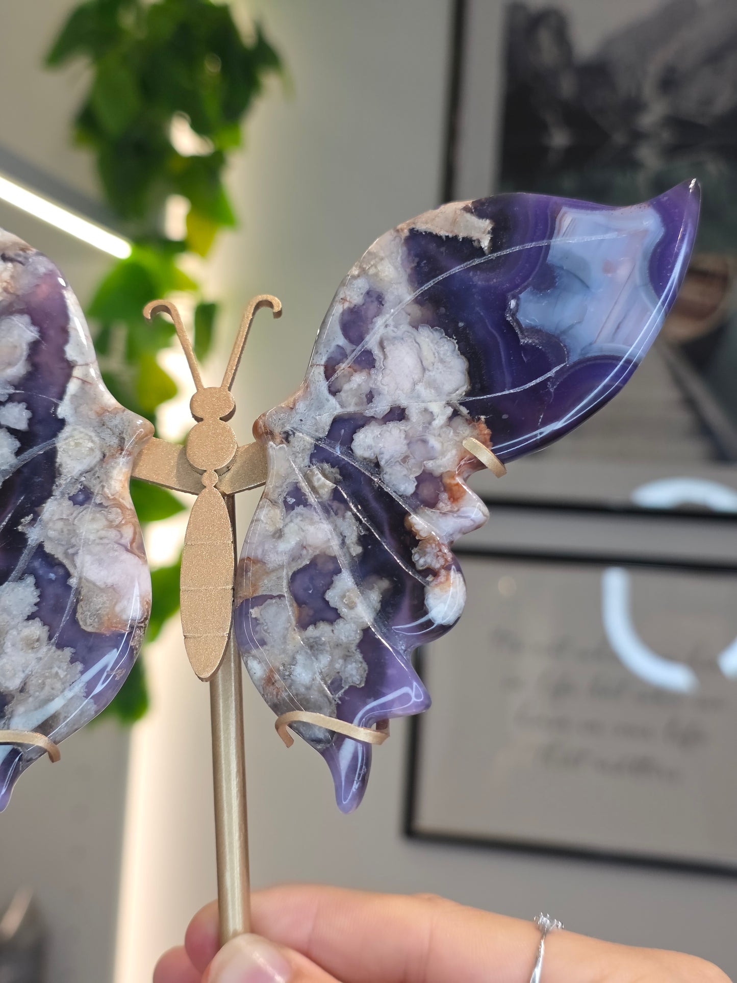 Blue Flower Agate Butterfly Wings on Custom Stand - F