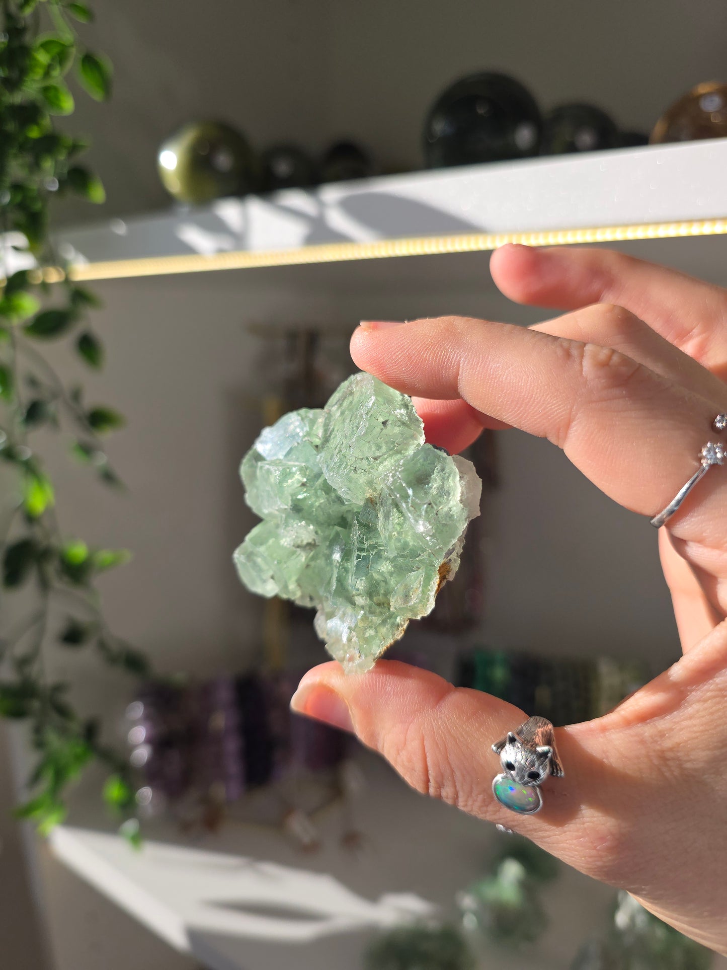 Apple Green Fluorite Specimens from Yunnan Province, China