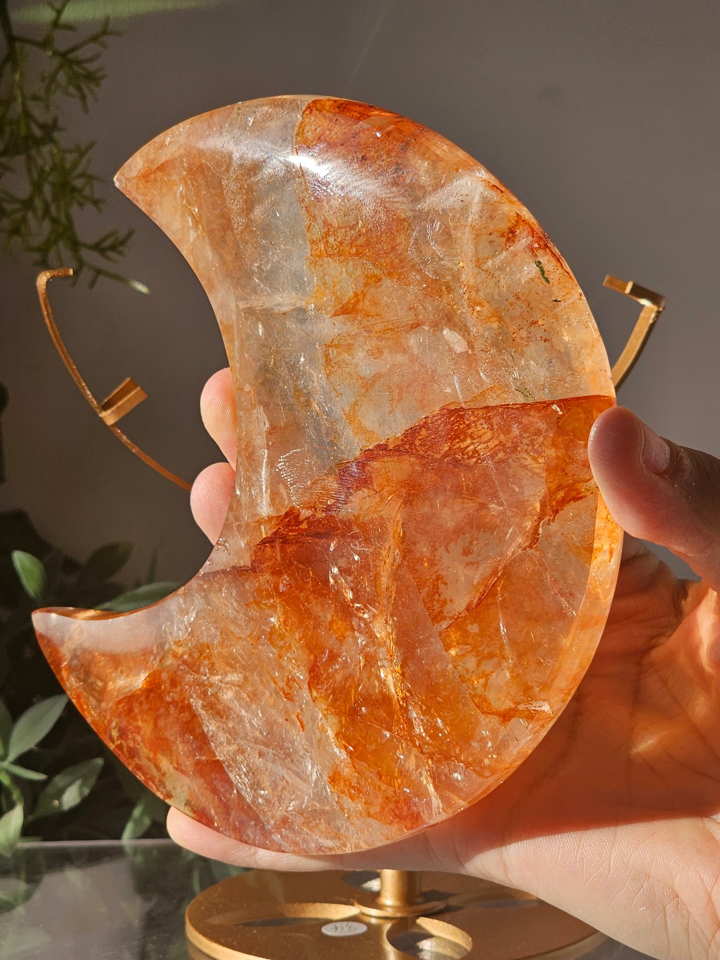 High Quality Golden Healer Fire Quartz Moon on Custom Stand - MAS0813