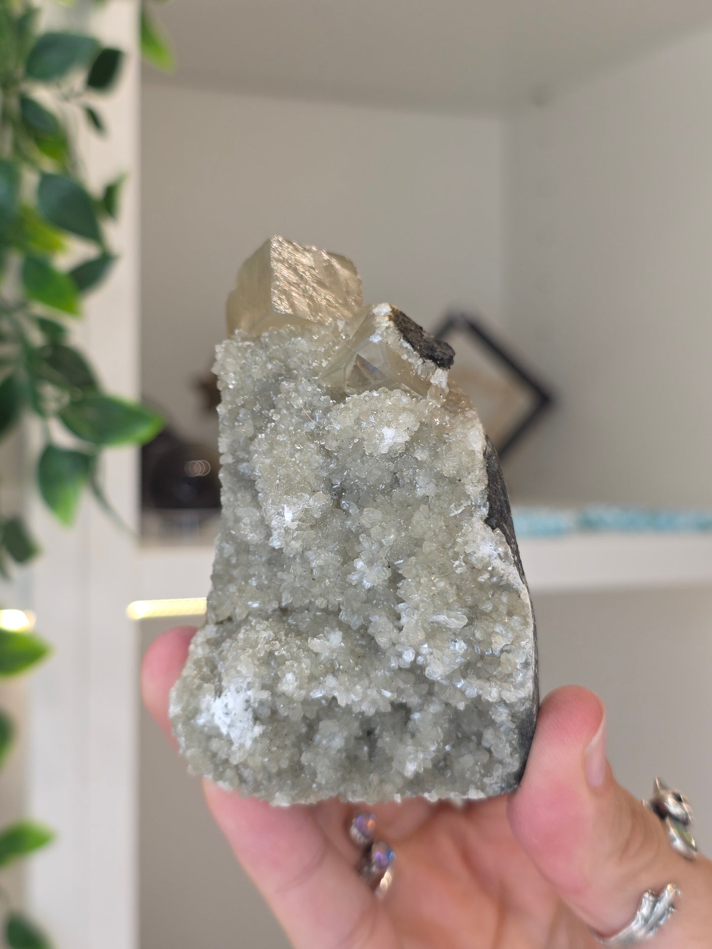 Honey Calcite Cubes on Druzy Sugar Calcite and Stilbite Matrix from Madhya Pradesh, India - U