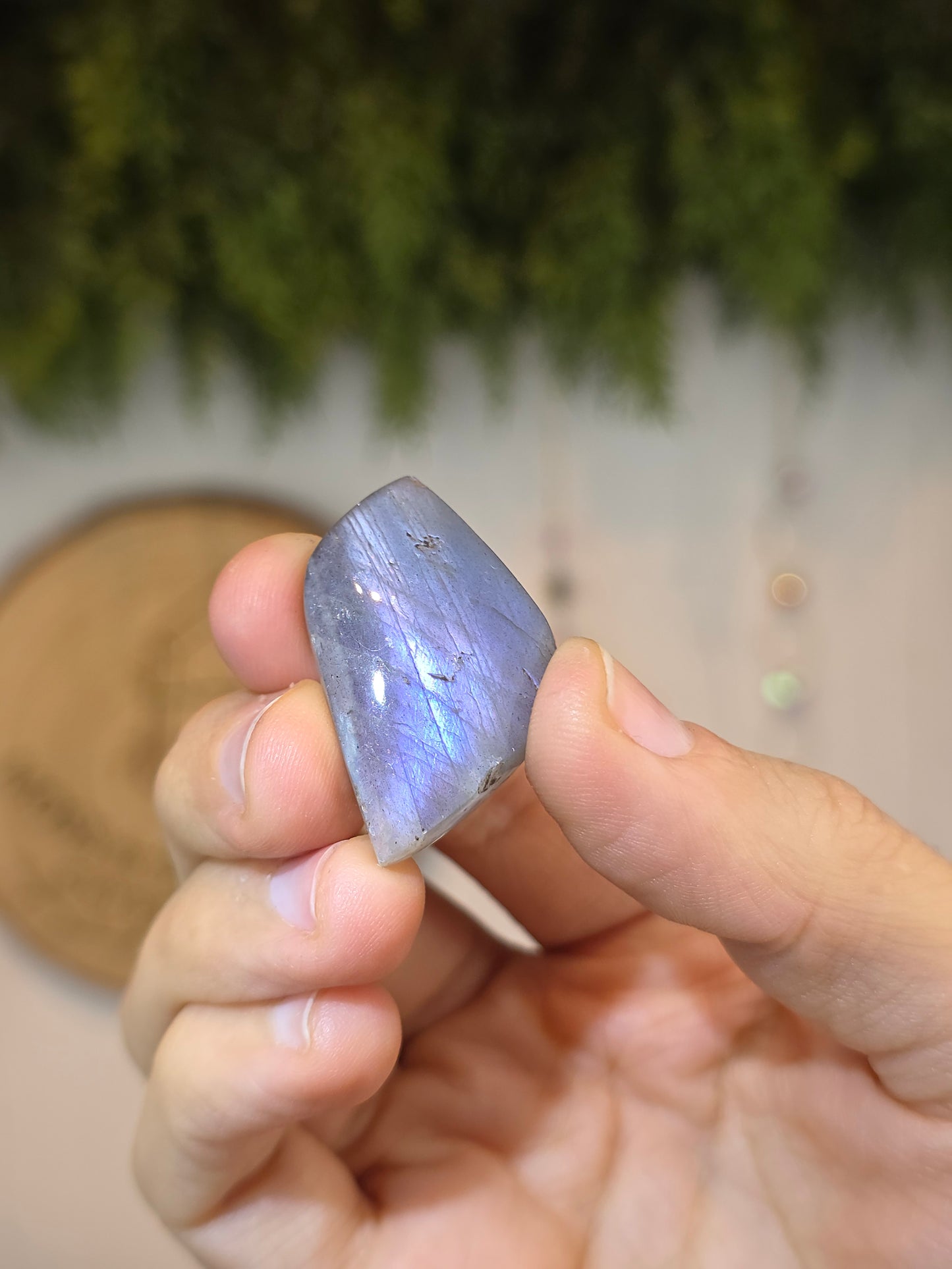 Labradorite Cabachon