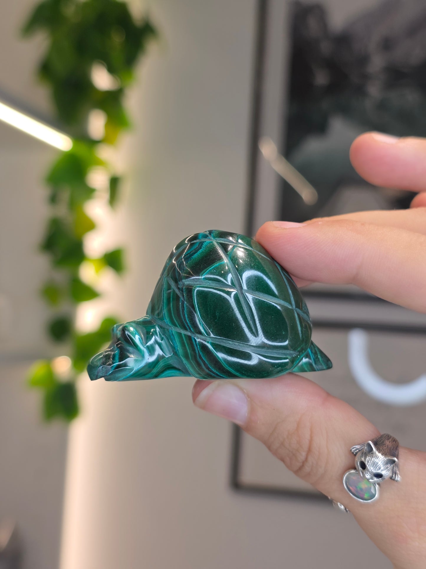 Malachite Snail Carving - D