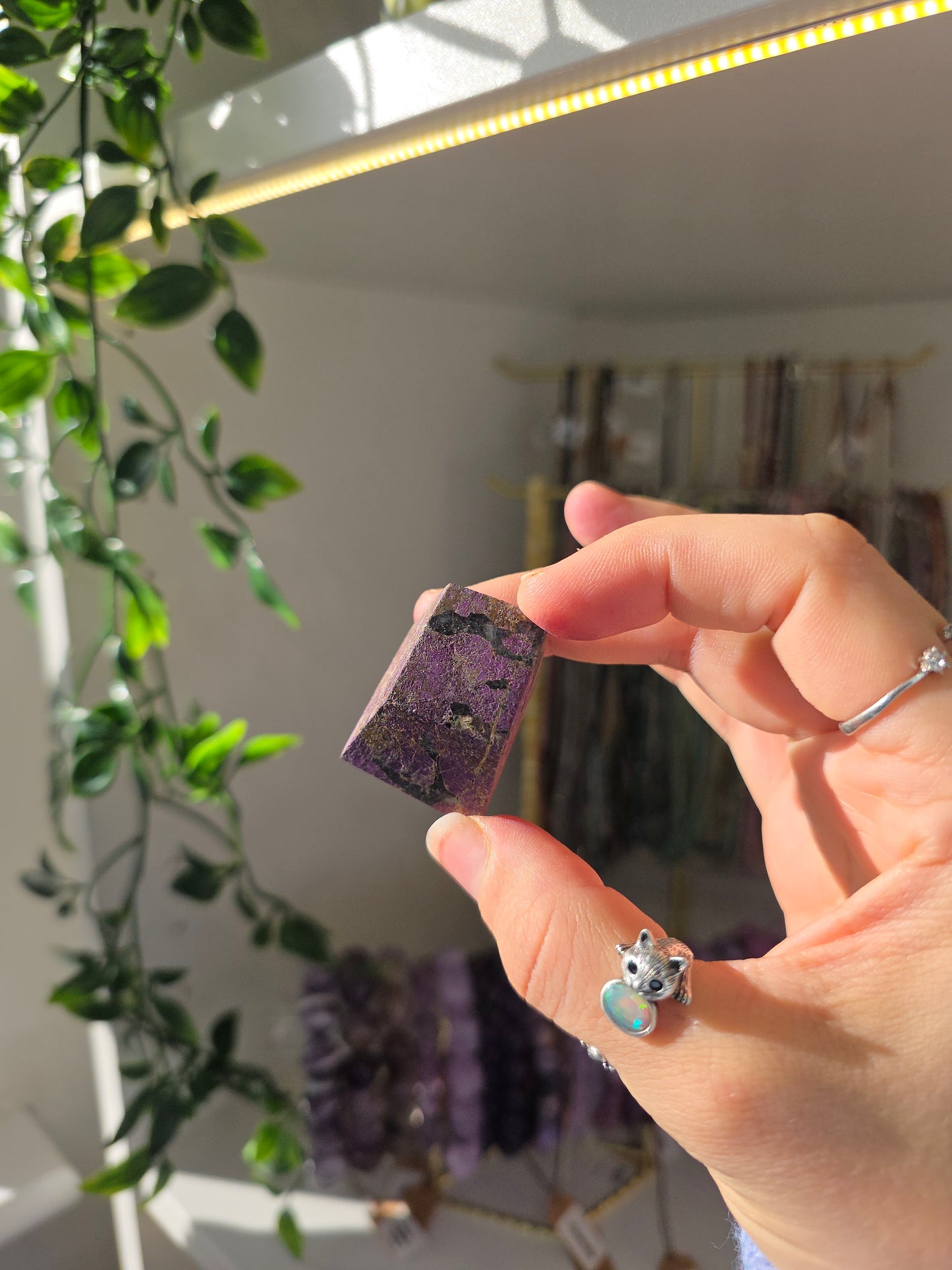 Velvet Purpurite Freeforms