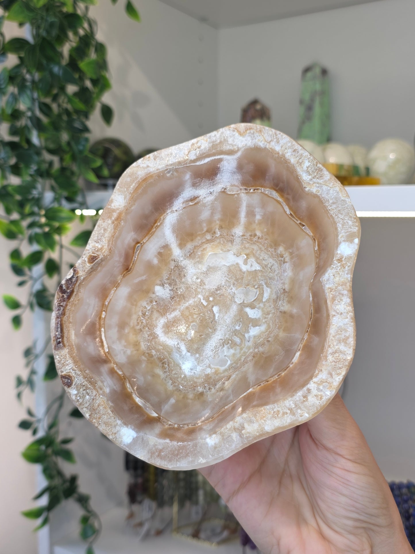 Mexican Onyx Freeform Bowl - Honey Calcite - B