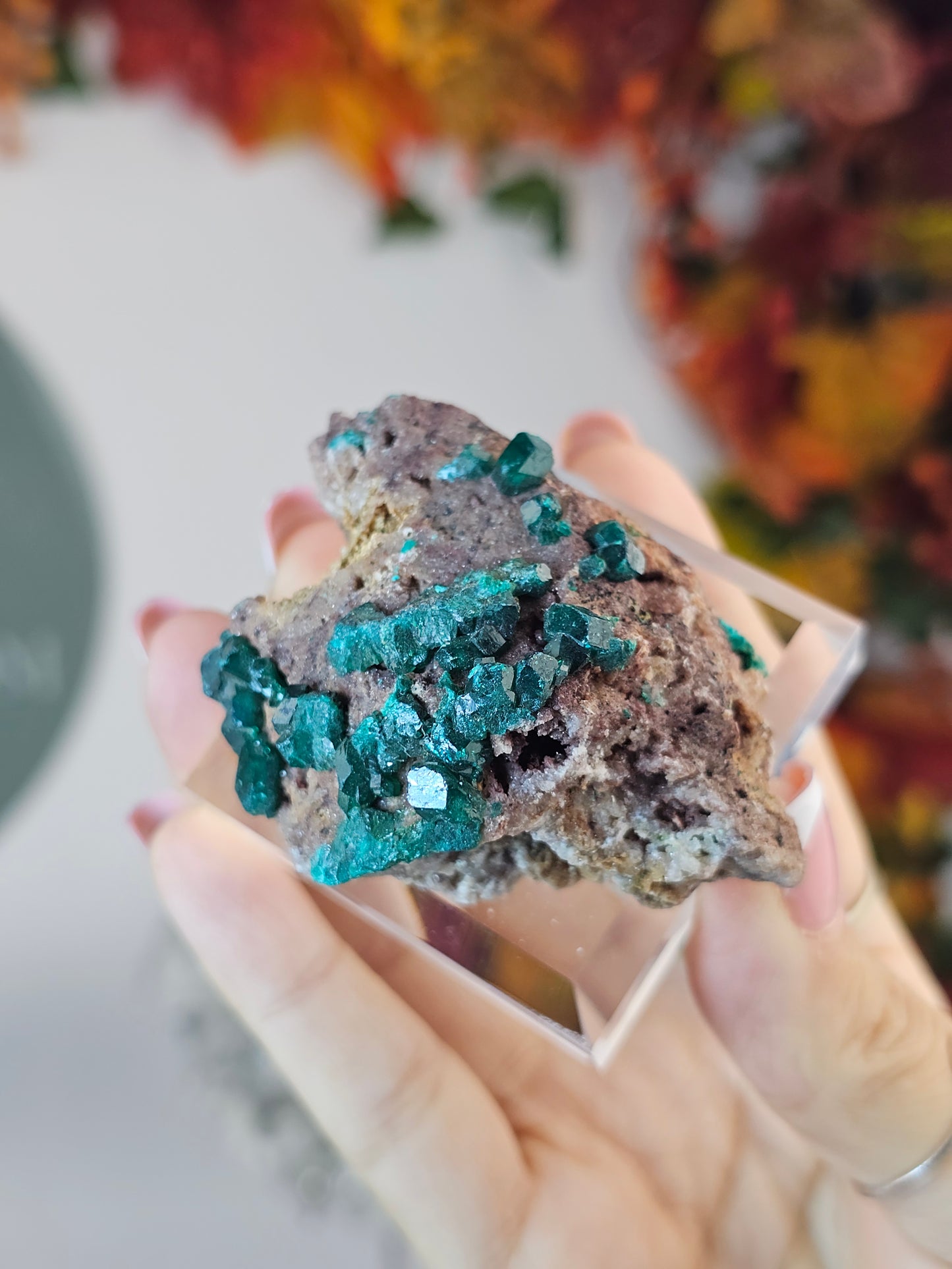 Dioptase Specimen BB from Namibia - MAS2735