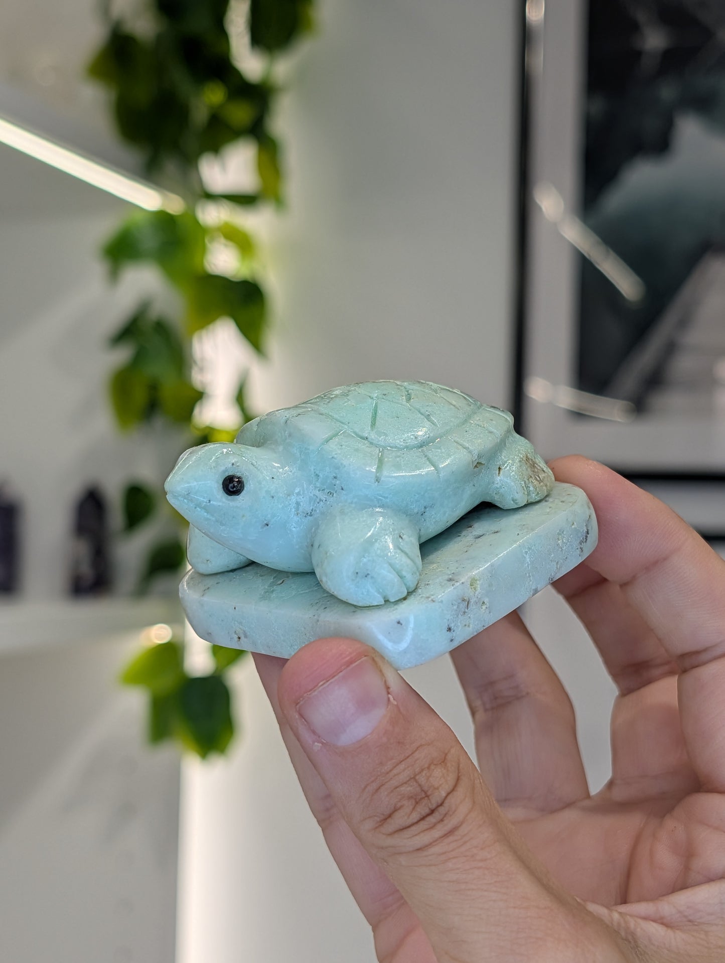 Hand Carved Indonesian Chrysoprase Frogs and Turtles