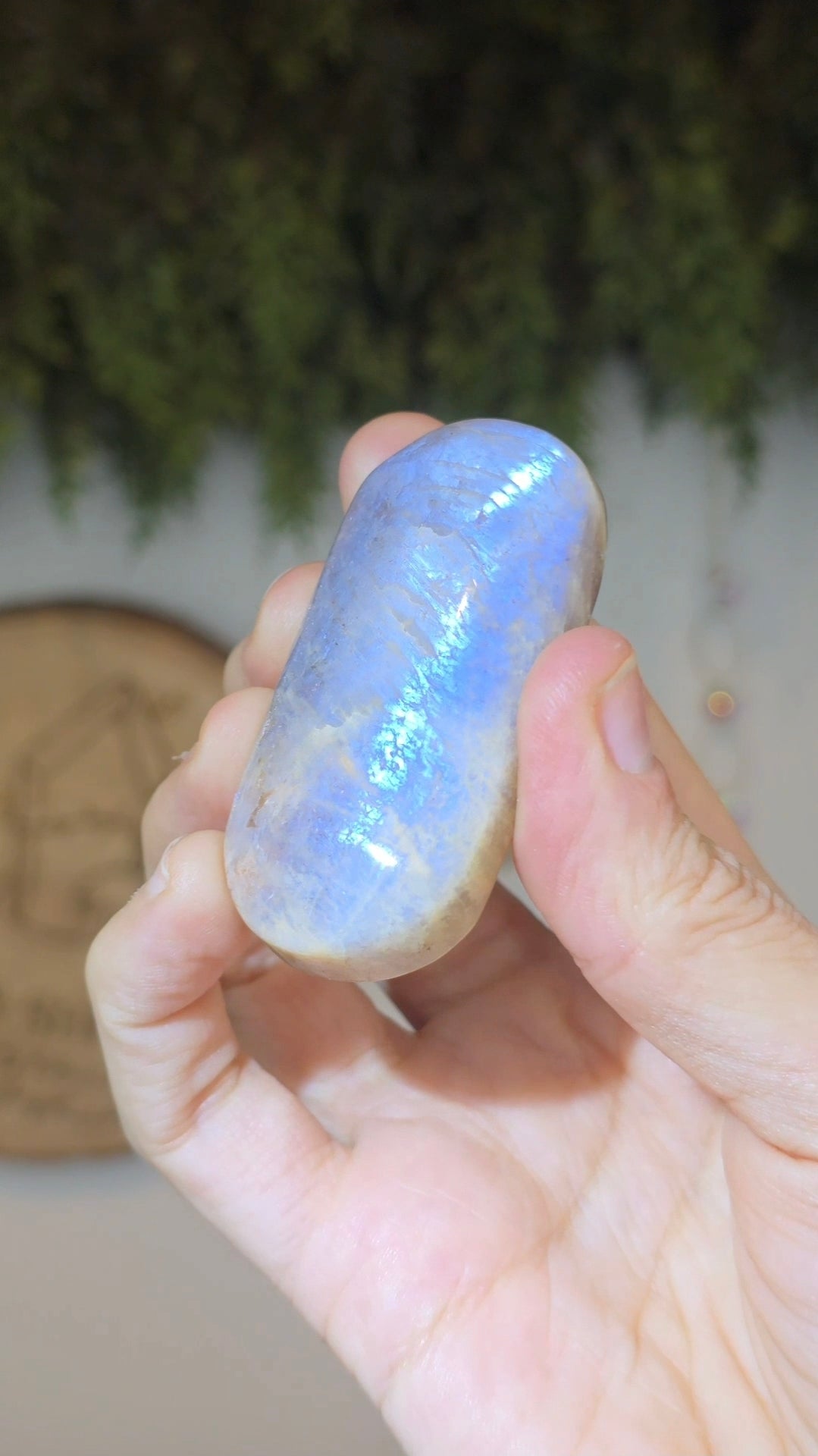 Moonstone with Sunstone Palms