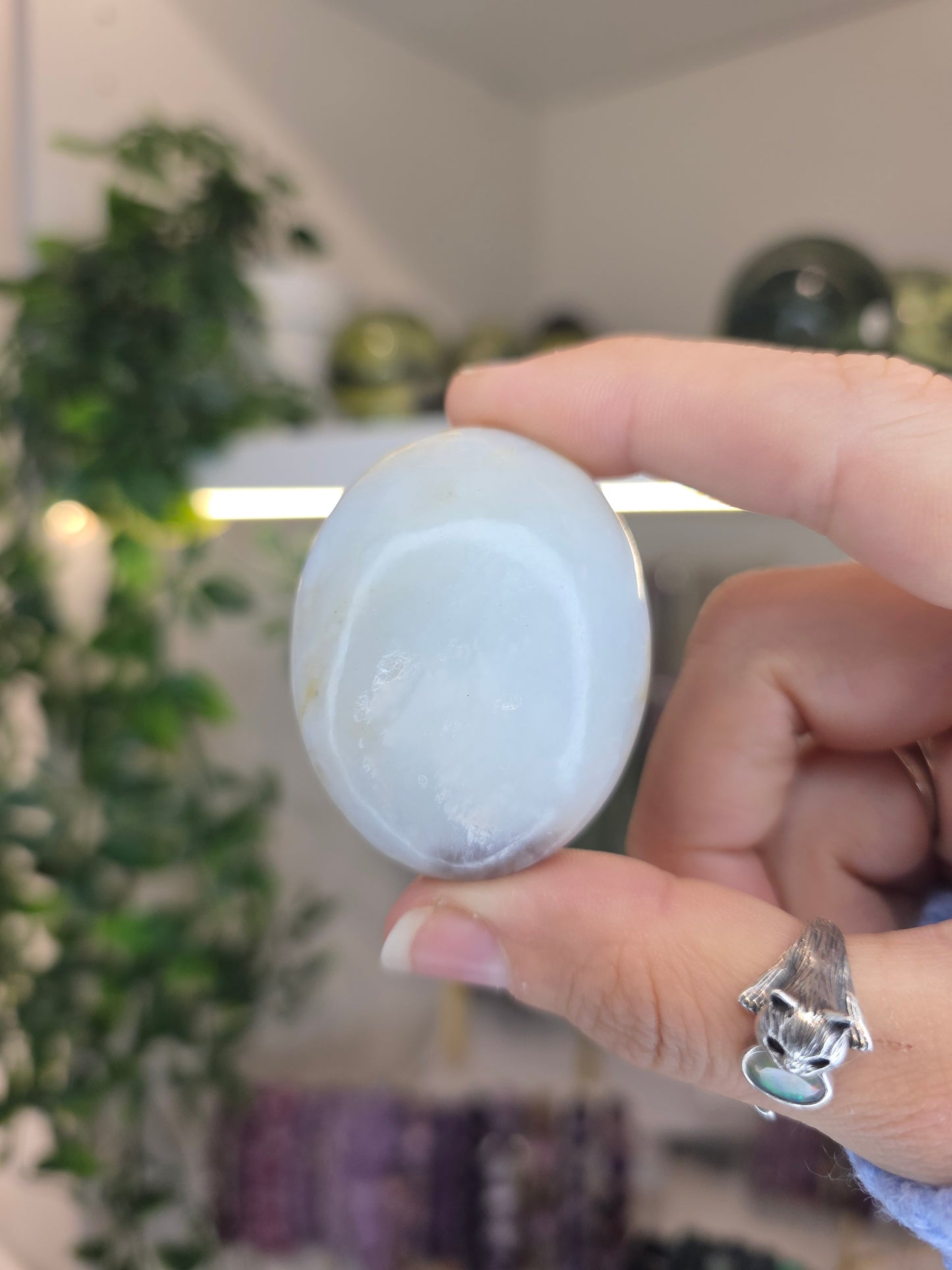 Peruvian Andean Opal Palms