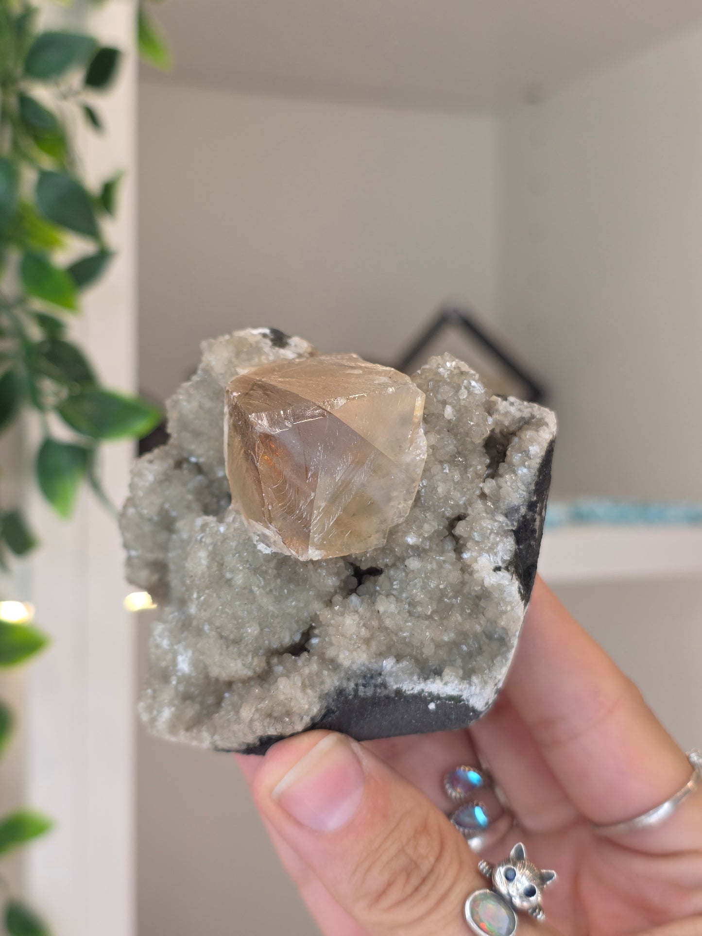 Honey Calcite Cubes on Druzy Sugar Calcite and Stilbite Matrix from Madhya Pradesh, India - X