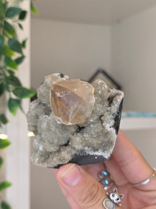 Honey Calcite Cubes on Druzy Sugar Calcite and Stilbite Matrix from Madhya Pradesh, India - X