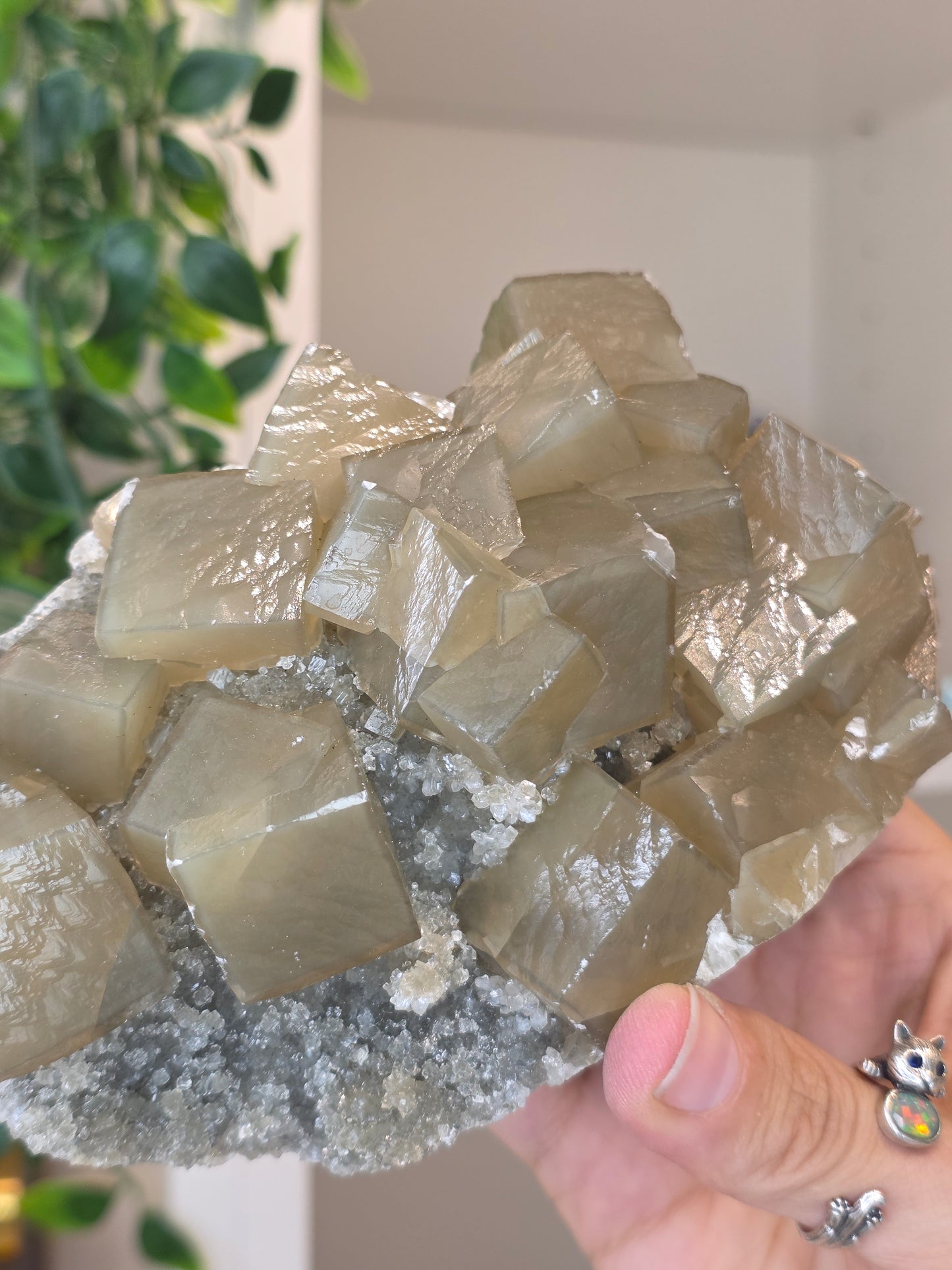 Honey Calcite Cubes on Druzy Sugar Calcite and Stilbite Matrix from Madhya Pradesh, India - AM