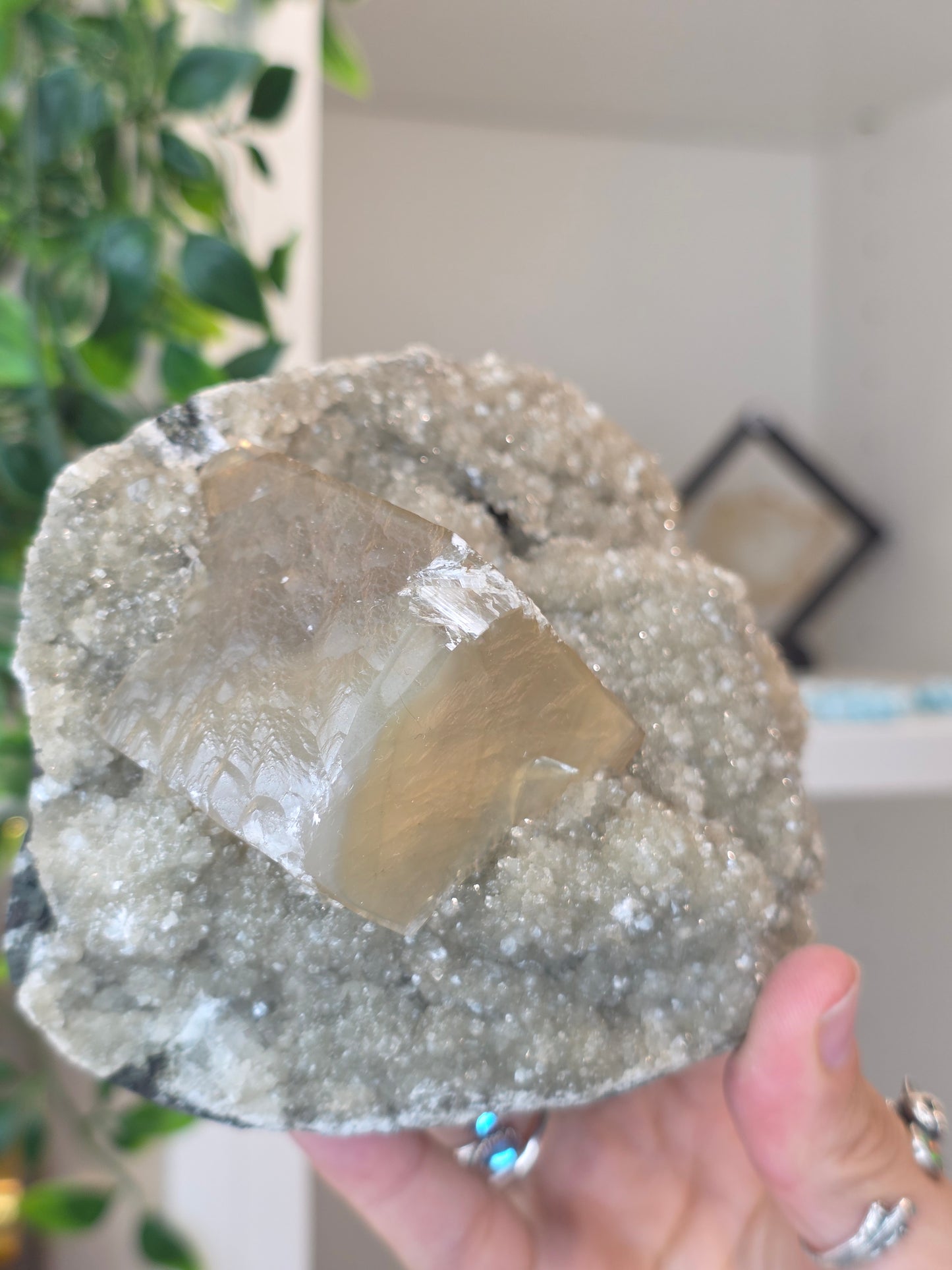 Honey Calcite Cubes on Druzy Sugar Calcite and Stilbite Matrix from Madhya Pradesh, India - AJ