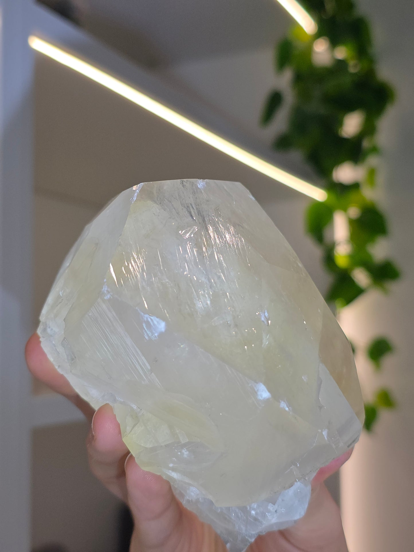 Honey Optical Calcite Freeform Chunk E from Pakistan