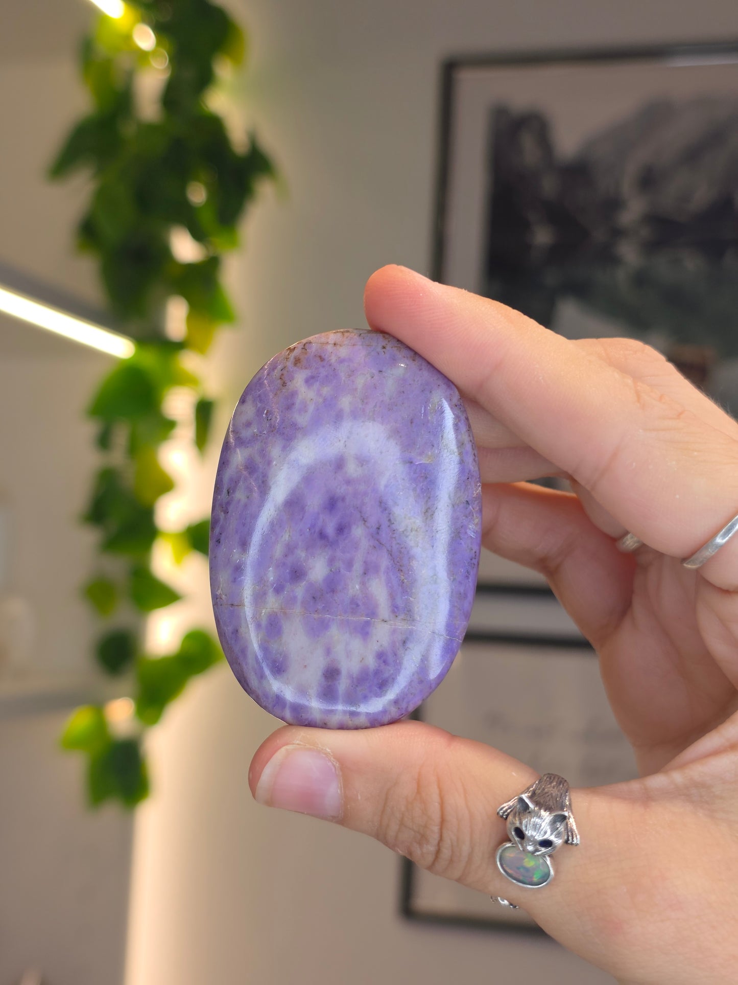 Lavender Jade Palm Stones