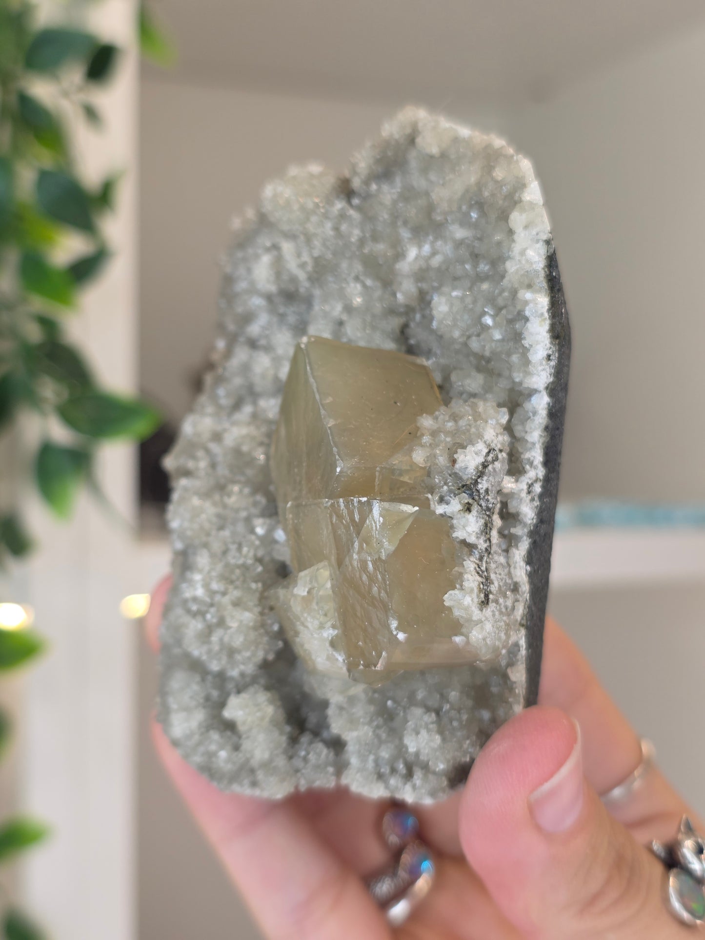 Honey Calcite Cubes on Druzy Sugar Calcite and Stilbite Matrix from Madhya Pradesh, India - Z