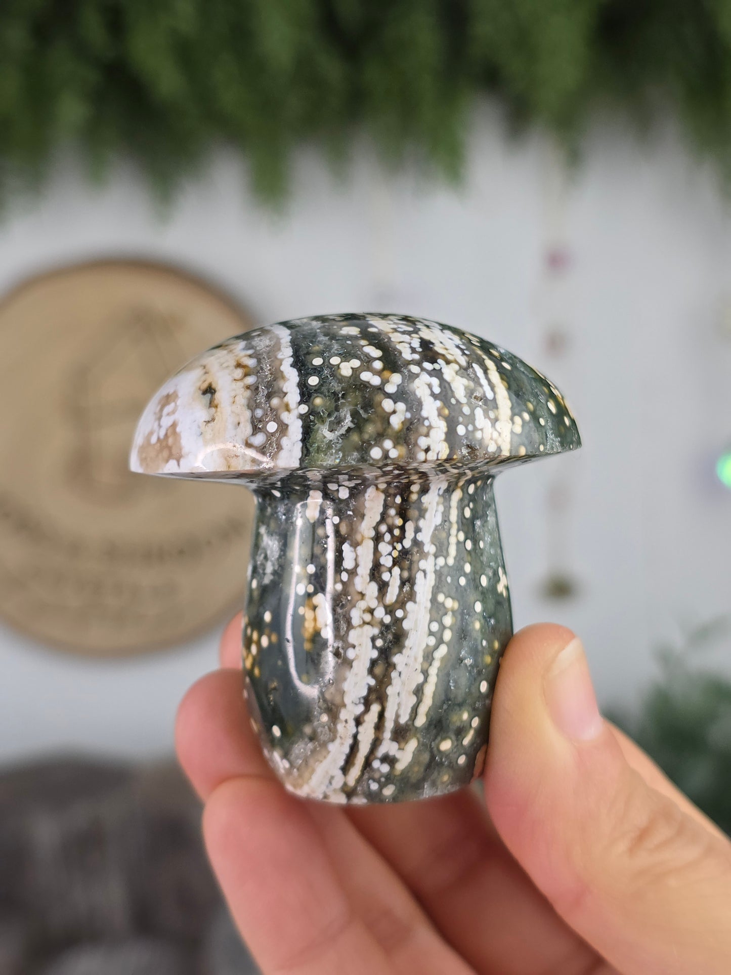 8th Vein Ocean Jasper Mushroom A