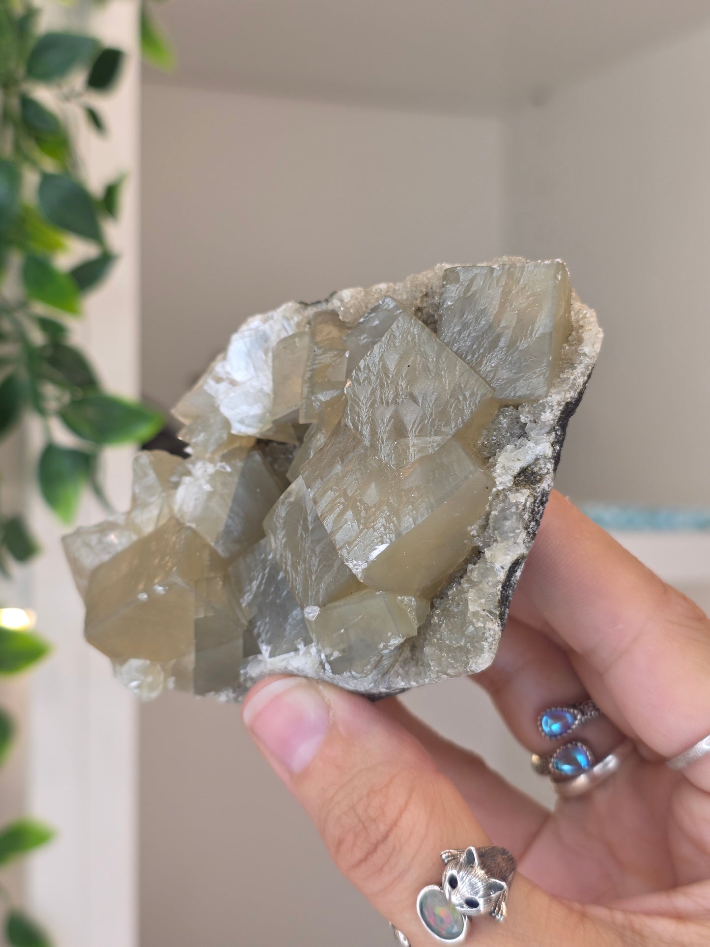 Honey Calcite Cubes on Druzy Sugar Calcite and Stilbite Matrix from Madhya Pradesh, India - W