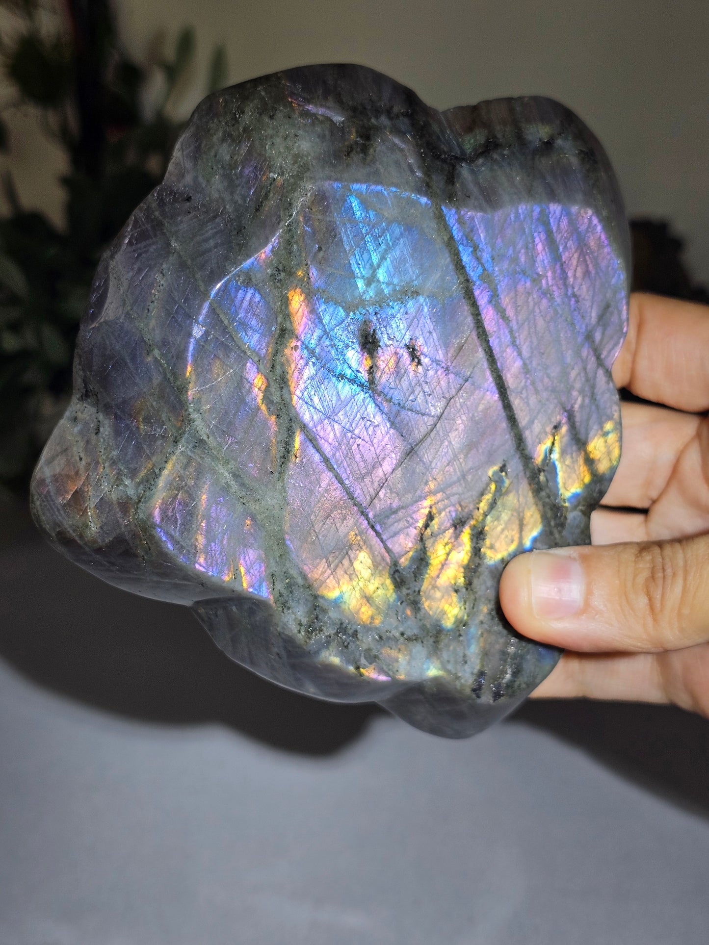 Labradorite Bowl - MAS0714