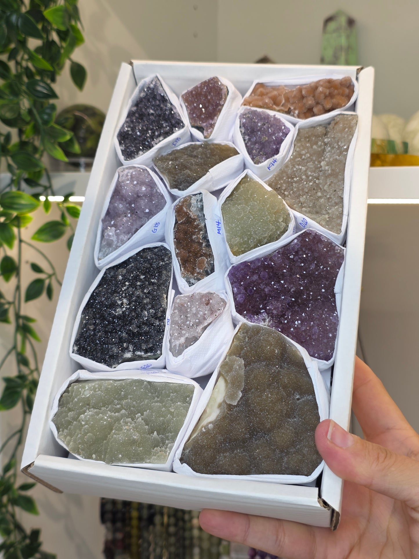Brazilian Rainbow Sugar Amethyst Raw Clusters
