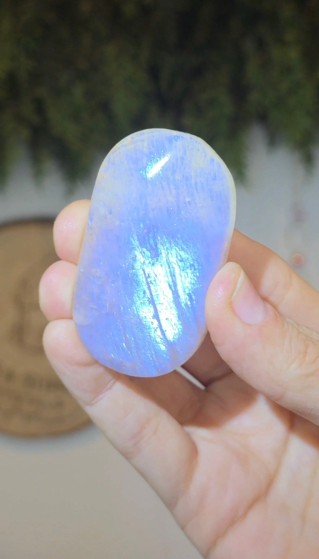 Moonstone with Sunstone Palms
