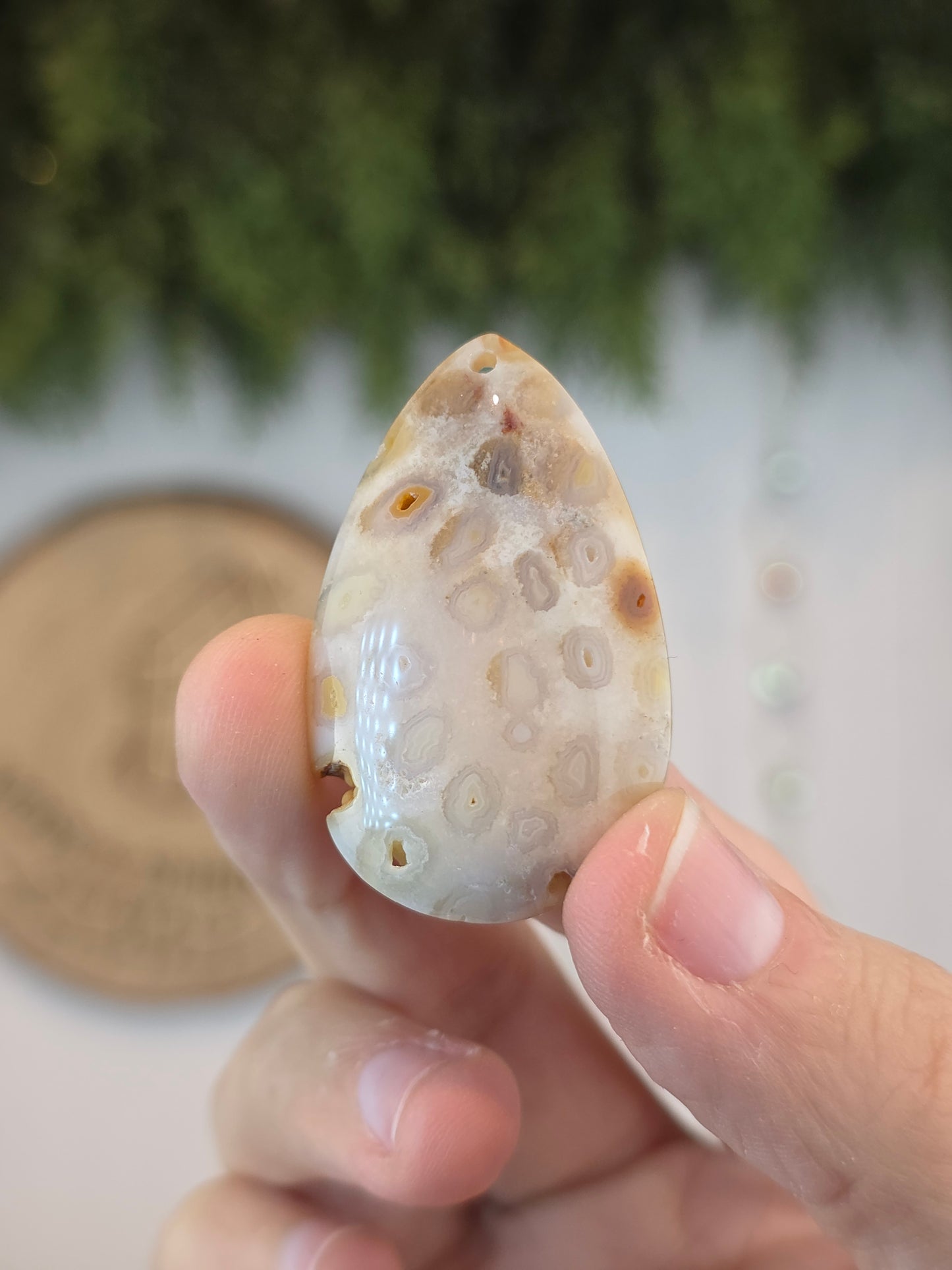 Fossilised Coral Cabachon