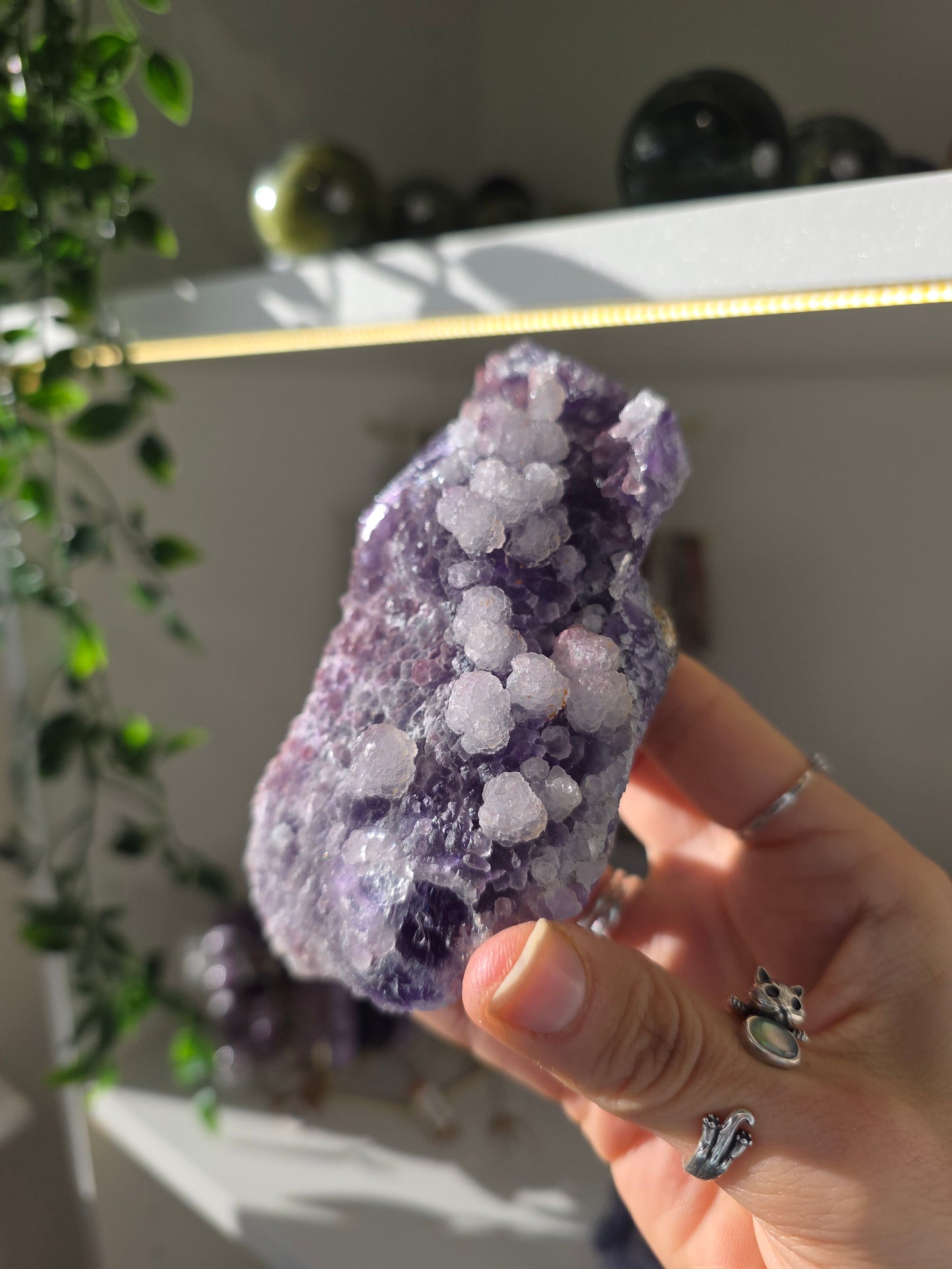Botryoidal Fluorite from Weishan, Yunnan Province, China A