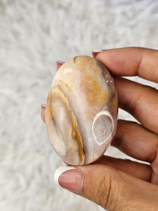 Petrified Wood Palm Stone - MAS0777