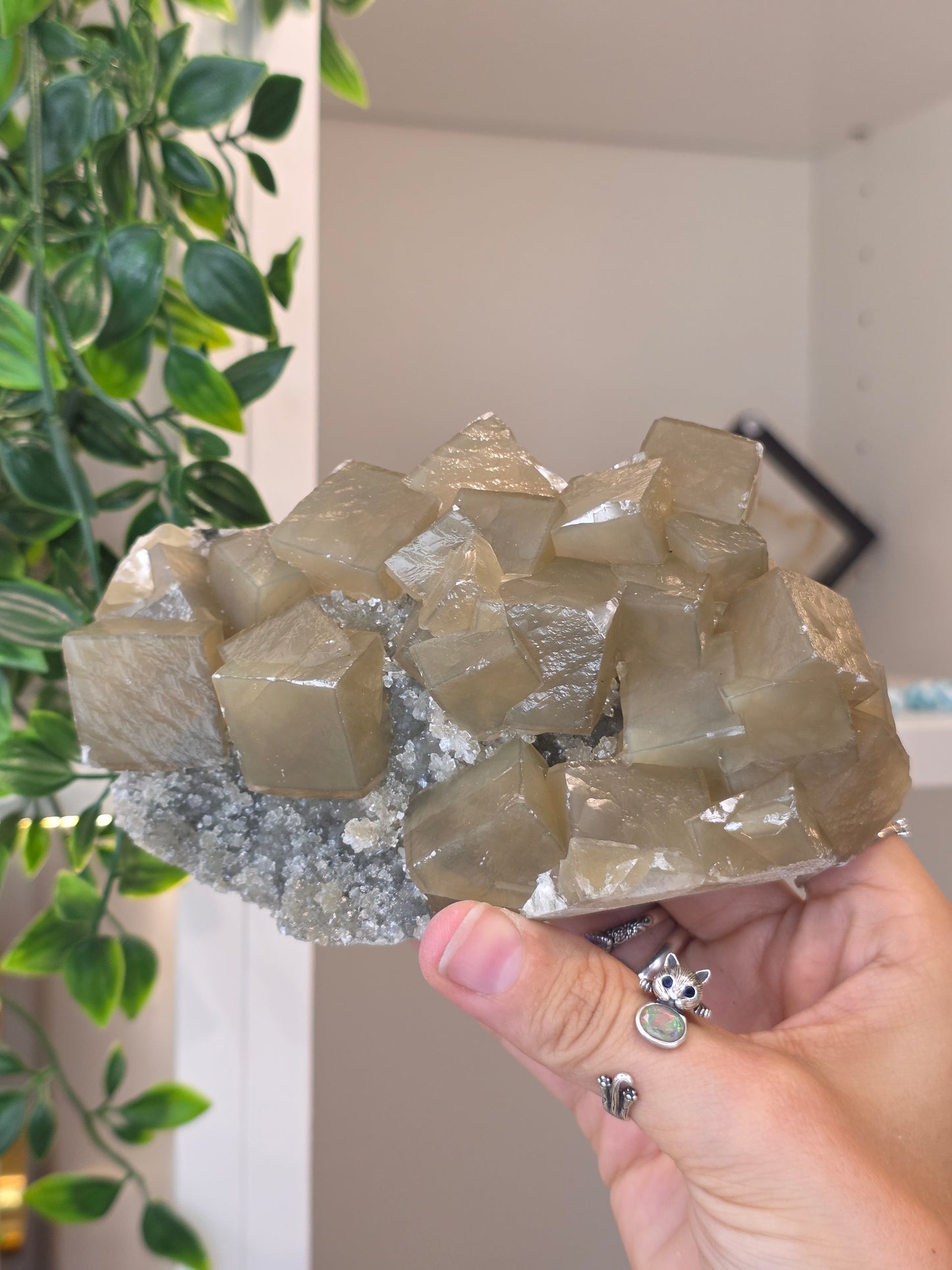 Honey Calcite Cubes on Druzy Sugar Calcite and Stilbite Matrix from Madhya Pradesh, India - AM