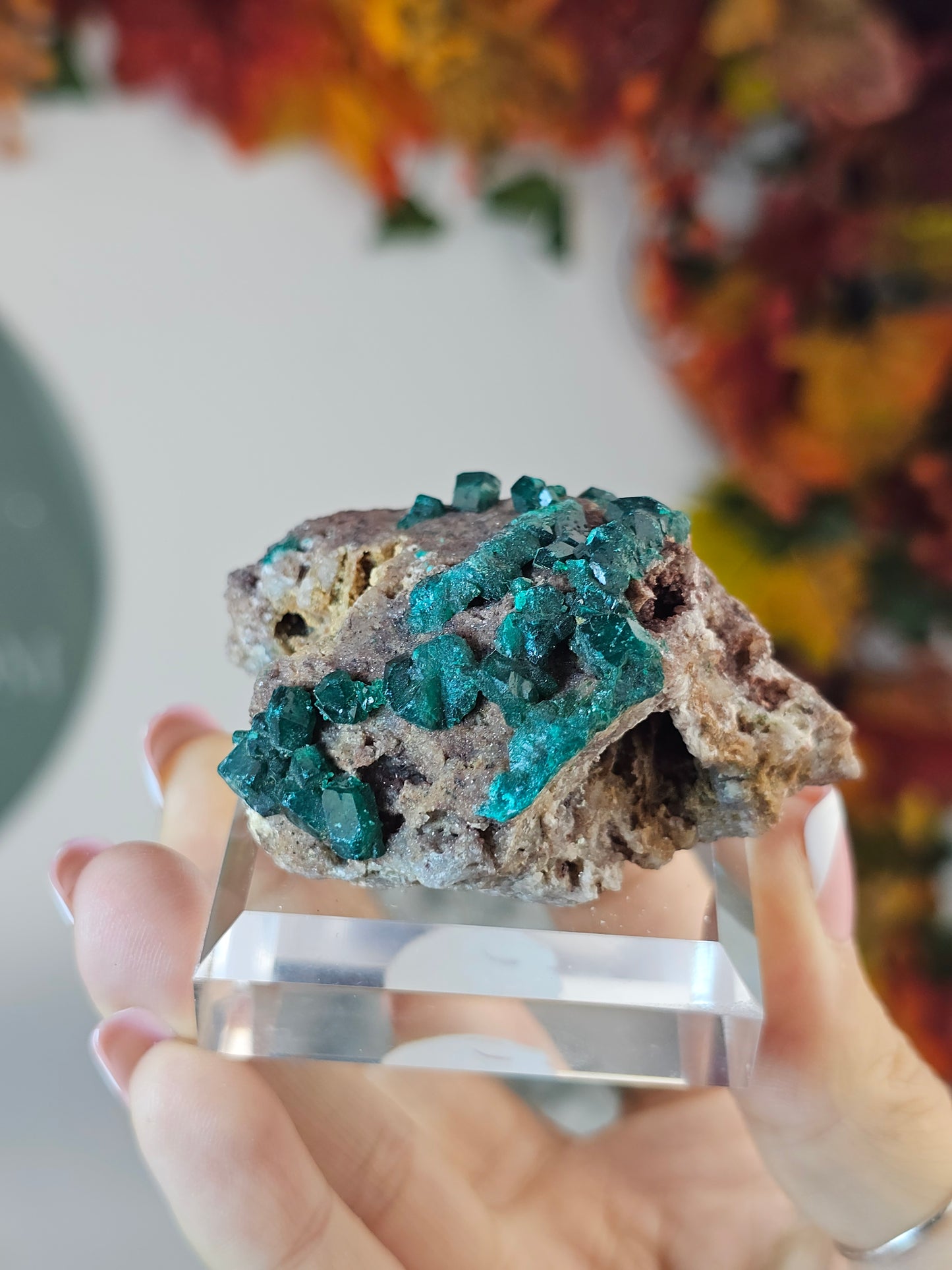 Dioptase Specimen BB from Namibia - MAS2735