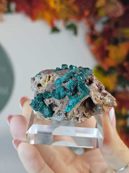 Dioptase Specimen BB from Namibia - MAS2735