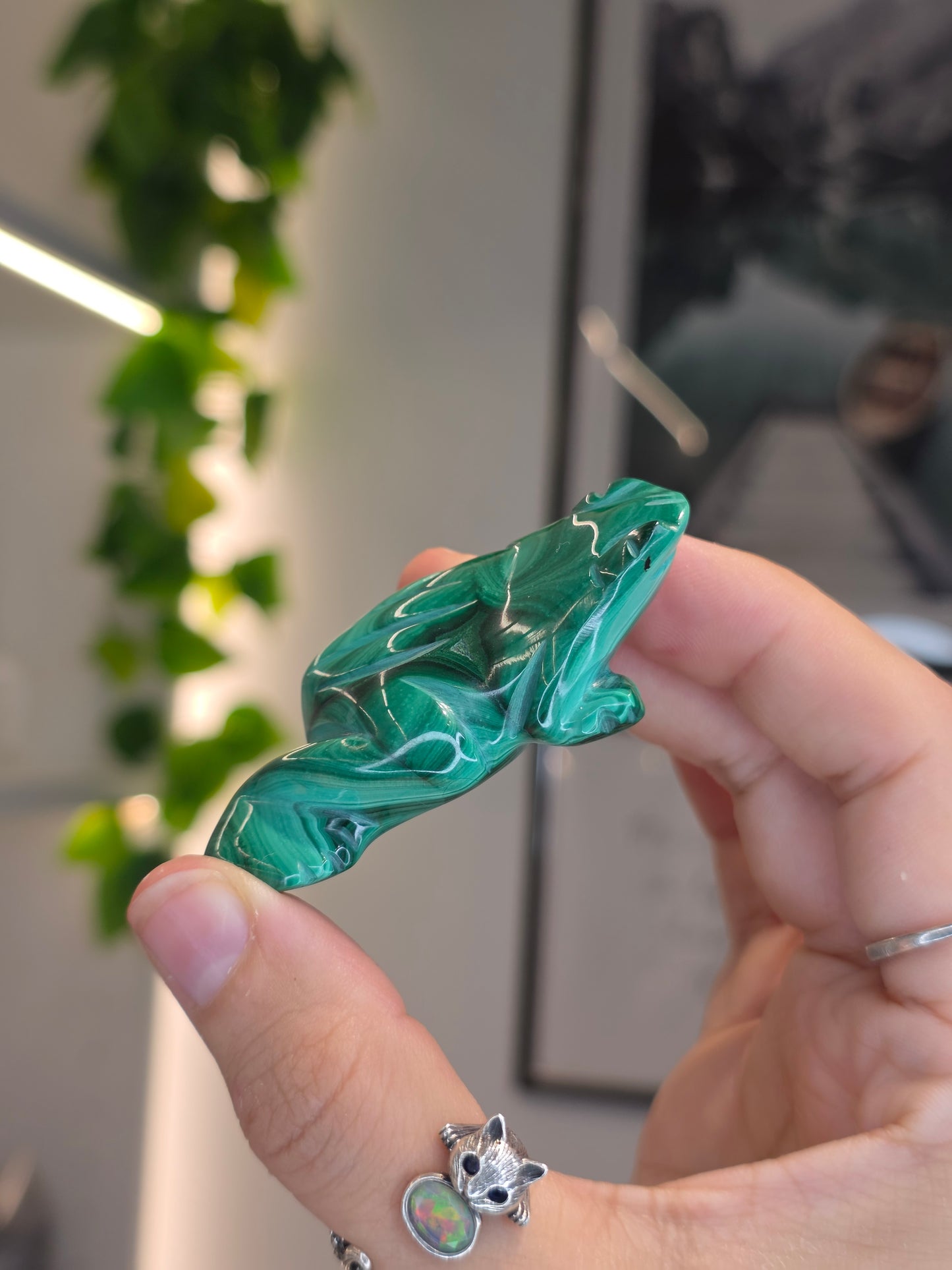 Malachite Frog Carving - A