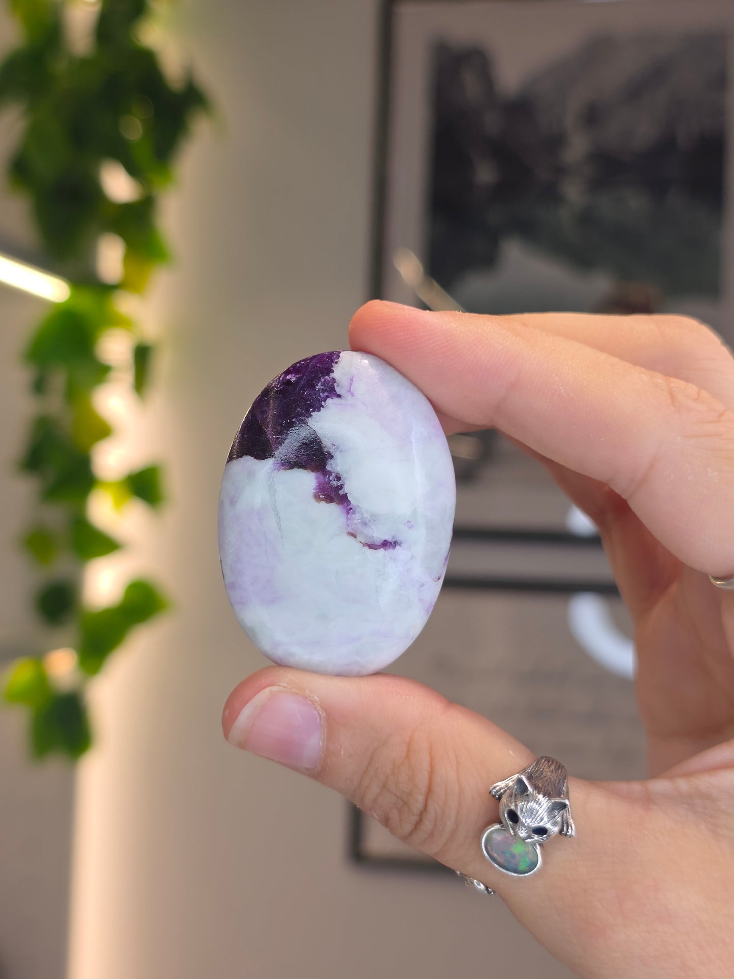 Purple Green Kammererite Palm Stones