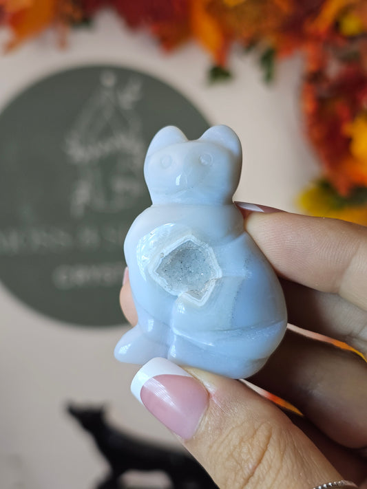 Agate Cat A - MAS1372