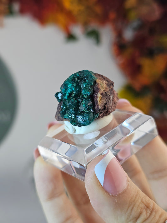 Dioptase Specimen B from Namibia - MAS3008