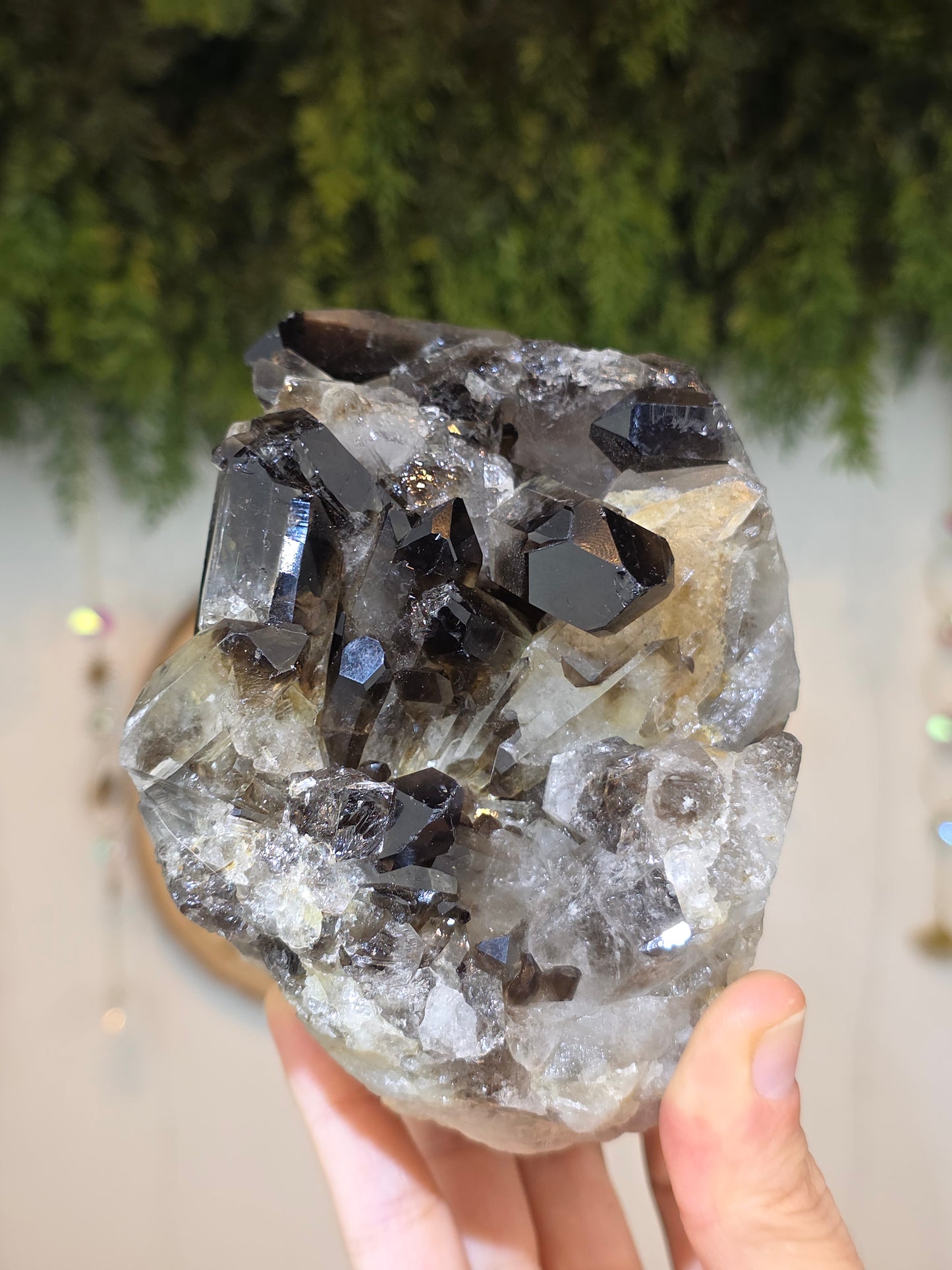 Brazilian Smokey Quartz Cluster